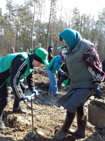 Акція «1 мільйон дерев за 1 добу у 100 країнах світу»