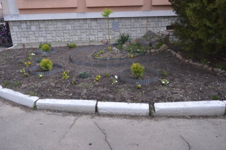 Благоустрій пришкільної території