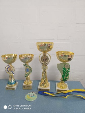 Нагороди Національного олімпійського комітету України