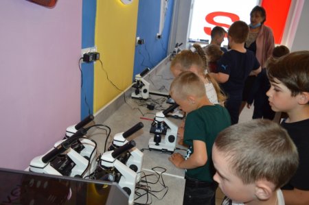 STEM-ПІКНІК