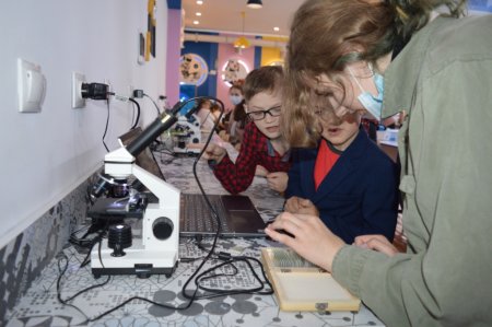 STEM-ПІКНІК