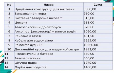 Звіт благодійного фонду "Діти Полісся"