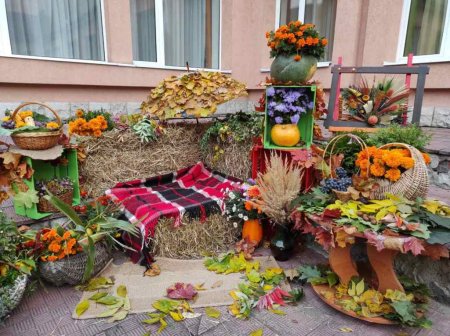 Осінній зорепад 