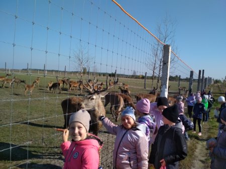 Екскурсія