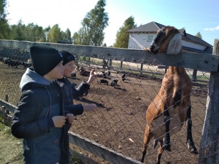 Екскурсія