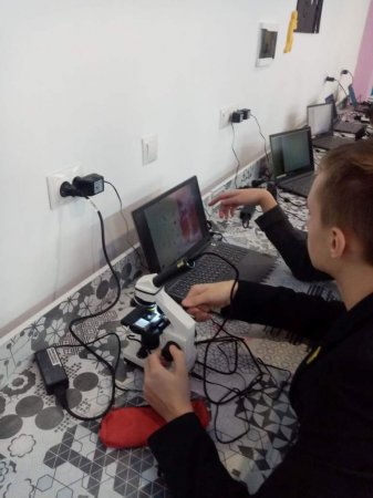 SТEM-освіта на уроках біології