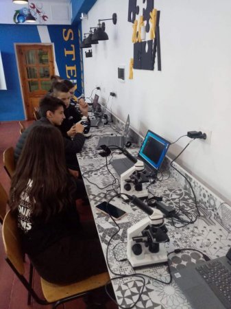 SТEM-освіта на уроках біології