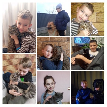Тварини, які рятують нас від війни