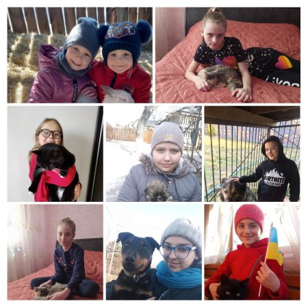 Тварини, які рятують нас від війни