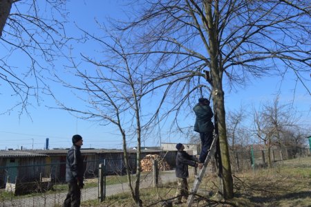 Підготовка до Великодніх свят
