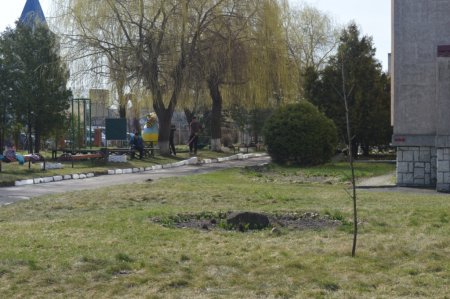 Весняна толока