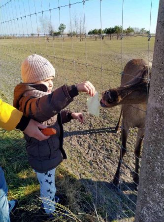 Наші будні під час війни