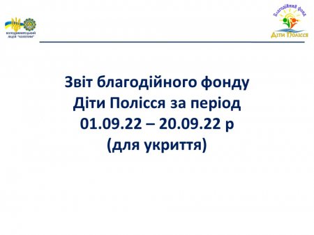 Звіт благодійного фонду