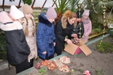 Реалізація проєкту “Flowers4school”