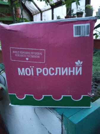 Участь у проєкті “Flowers4school”