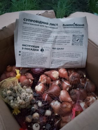 Участь у проєкті “Flowers4school”