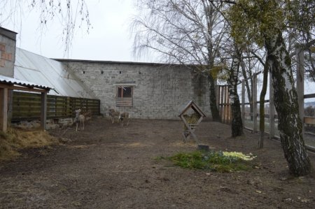 "Поповнення у міні-зоопарку" 