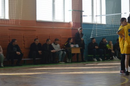 Змагання з волейболу серед дівчат