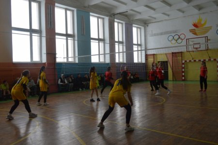 Змагання з волейболу серед дівчат