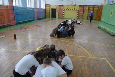 «Сокіл» («Джура»)