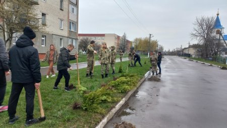 Озеленення селища