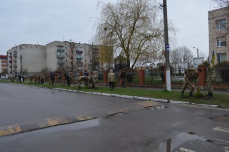 Озеленення селища