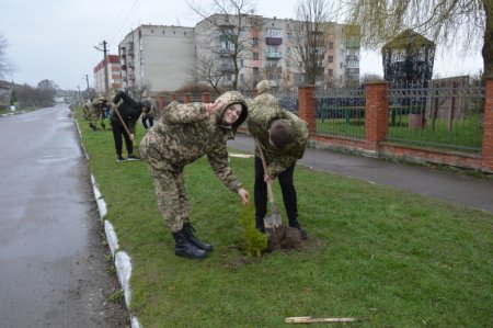 Озеленення селища