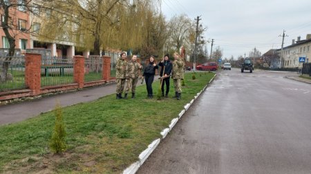 Озеленення селища