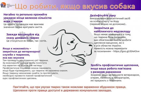 Пам’ятка   «Профілактика сказу»