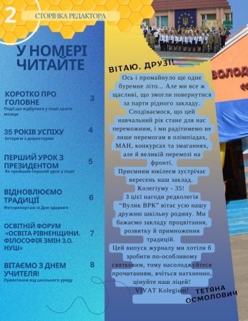Вулик № 19