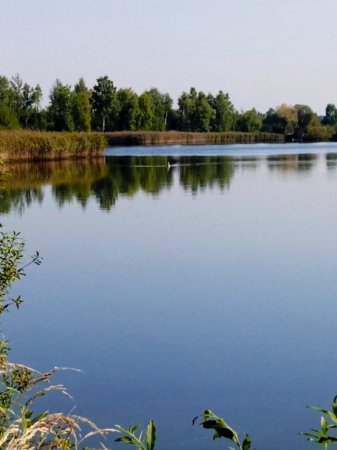 День туризму
