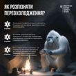 Холодова травма