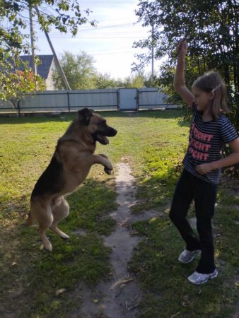 Наші будні та свята