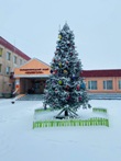 Зимові свята в ліцеї