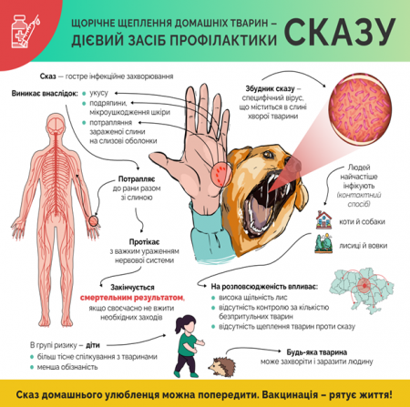 Профілактика сказу