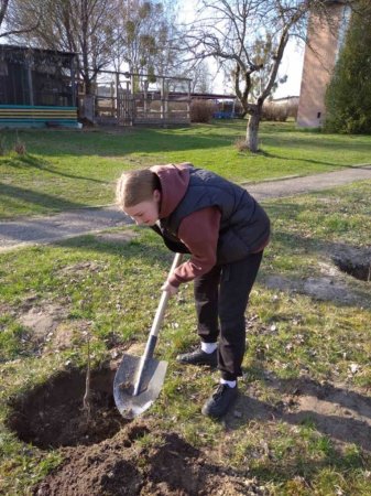 Горіхова алея