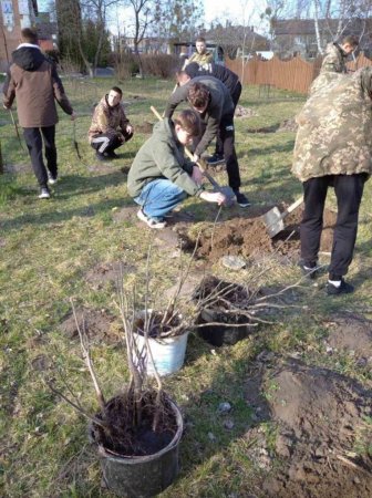 Горіхова алея