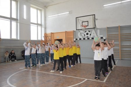 «Сокіл» («Джура»)