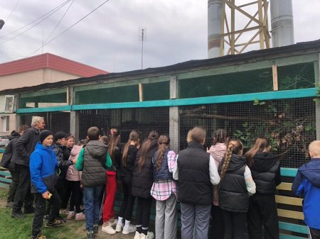 Зустрічаємо гостей