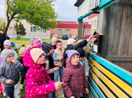 Захопливі зустрічі з мешканцями мінізоопарку: екскурсії для молодших школярів ліцею