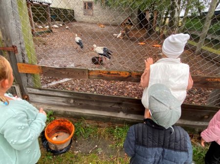 Урок доброти: першокласники відвідали шкільний мінізоопарк