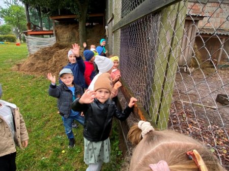 Урок доброти: першокласники відвідали шкільний мінізоопарк