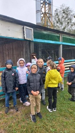 Урок доброти: першокласники відвідали шкільний мінізоопарк