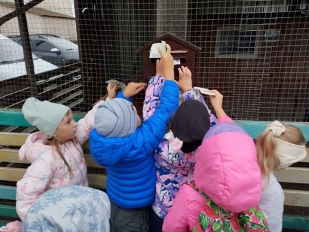 Урок доброти: першокласники відвідали шкільний мінізоопарк