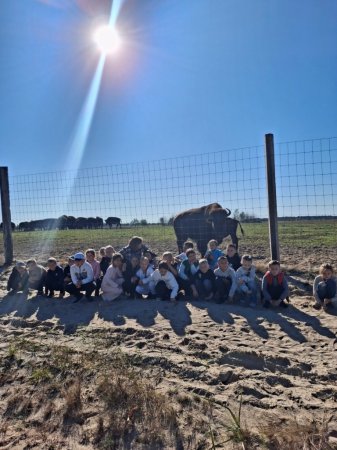 Екскурсія учнів 4-Б класу до Сарненського історико-етнографічного музею та на оленячу ферму