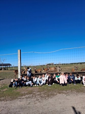 Екскурсія учнів 4-Б класу до Сарненського історико-етнографічного музею та на оленячу ферму