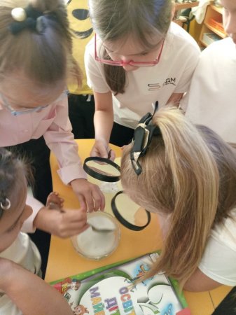 Проєктна діяльність у початковій школі