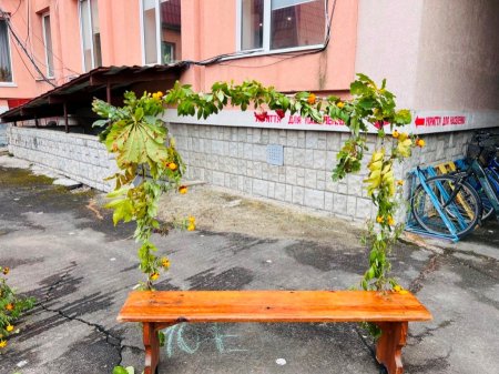 Осінній вернісаж