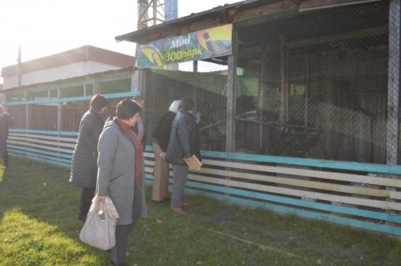 Обмін досвідом