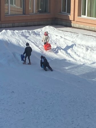 Зимові розваги ліцеїстів